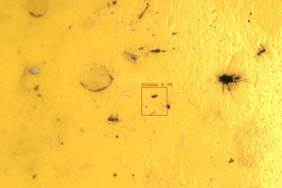 Image 28